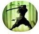 Shadow Fight 2